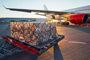 Air Cargo and Freight Services